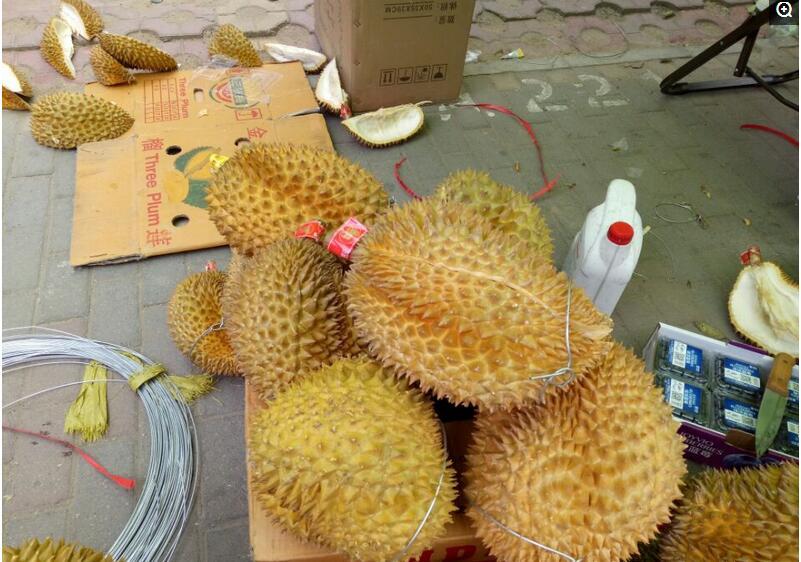 农村小哥在小区摆摊卖榴莲, 一个要150多块钱打工族表示吃不起
