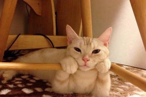 轻松时刻第二期: 这车锁的是在调戏小偷的智商吗