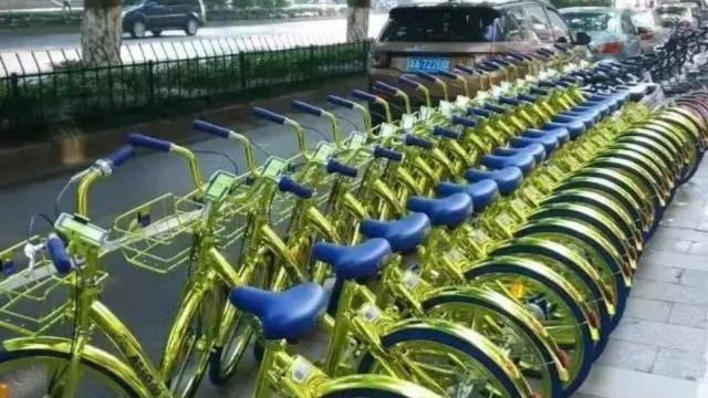爆款刷屏你朋友圈的黄金共享单车, 你知道他们是怎么赚钱的吗?