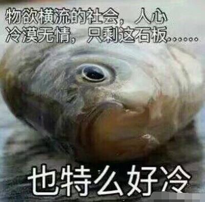 中学老师称高考写共享单车对农村考生不公平 