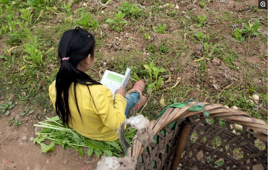 农村小孩的假期生活, 不在家里就在地里, 没干农活就