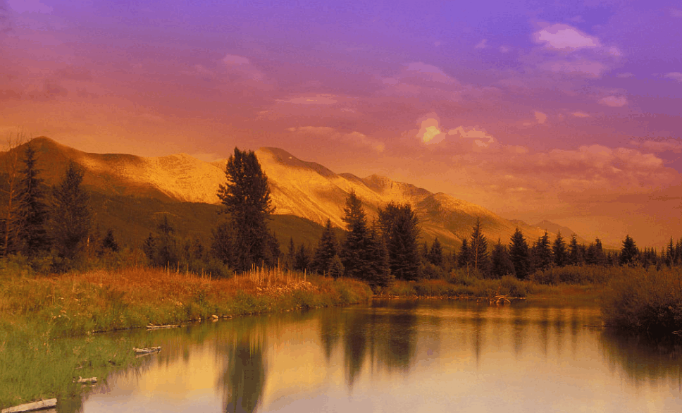 (公考)把握策略方法, 狂刷题目不等于拿高分!