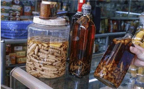 酿酒技术:蛤蚧泡酒的功效,蛤蚧泡酒配方大全
