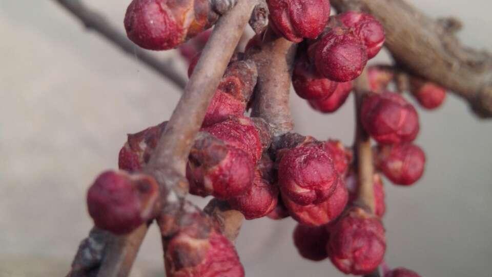 秋天了, 回忆一下今年春天的时光