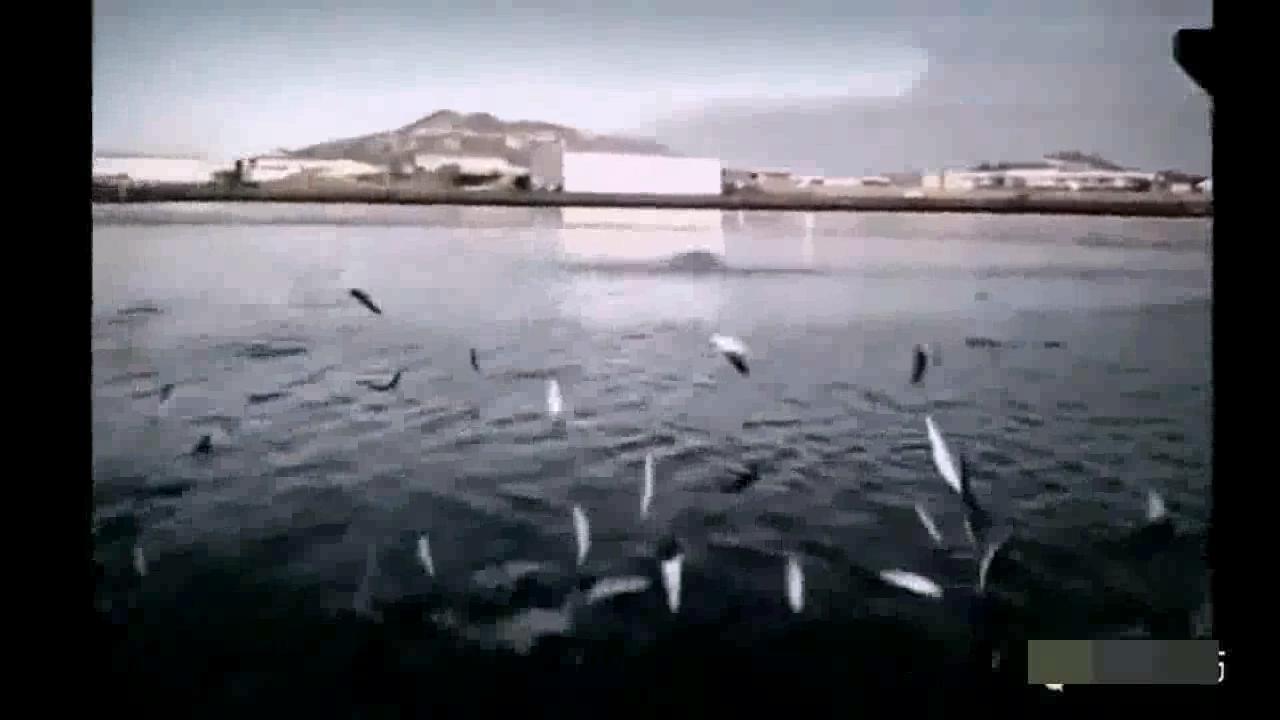 ը ͼƬϼ