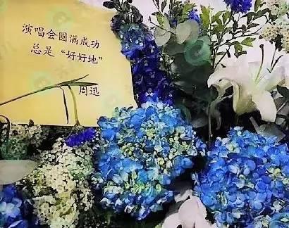 歌曲谱花篮花箱_开业花篮图片