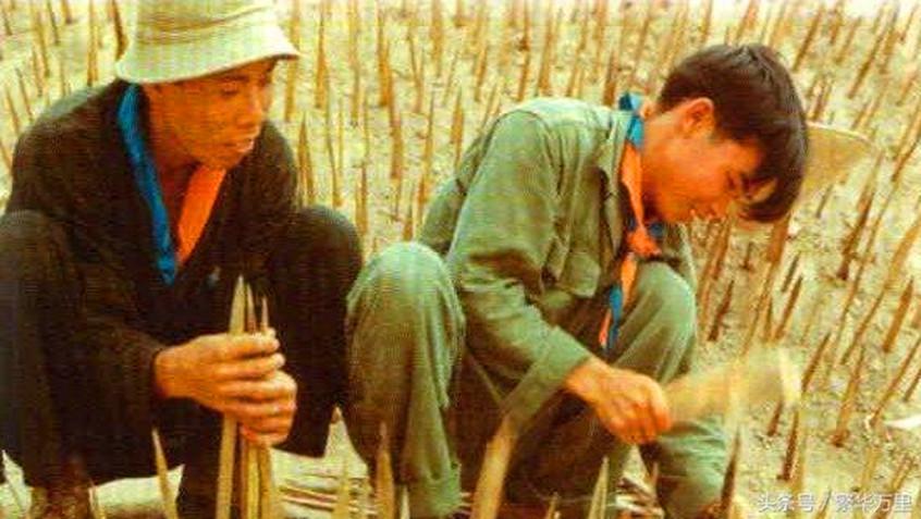 我军教会越军一种暗器, 中越战争, 越军大量使用, 我军伤亡惨重