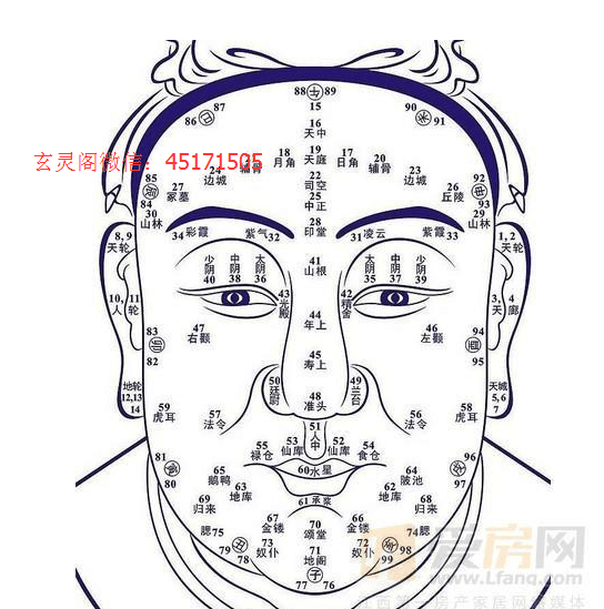 而通常情况下,额头上的纹路也是有一定预示的,从纹路的形态,位置,数量