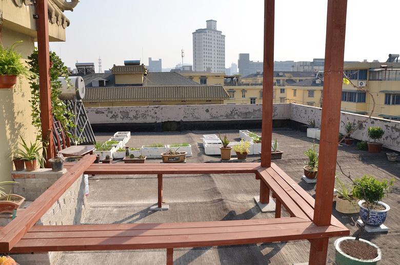 屋顶菜园|我的空中私人菜园——收获篇