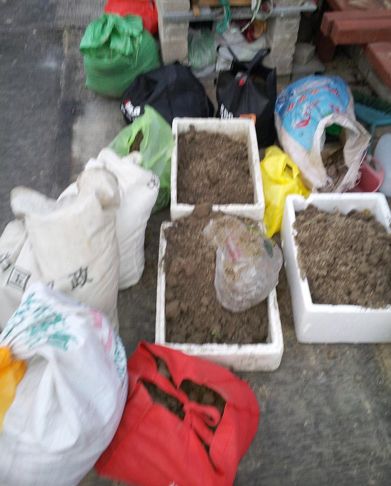 屋顶菜园|我的空中私人菜园——收获篇 屋顶菜园|我的空中私人菜园——收获篇