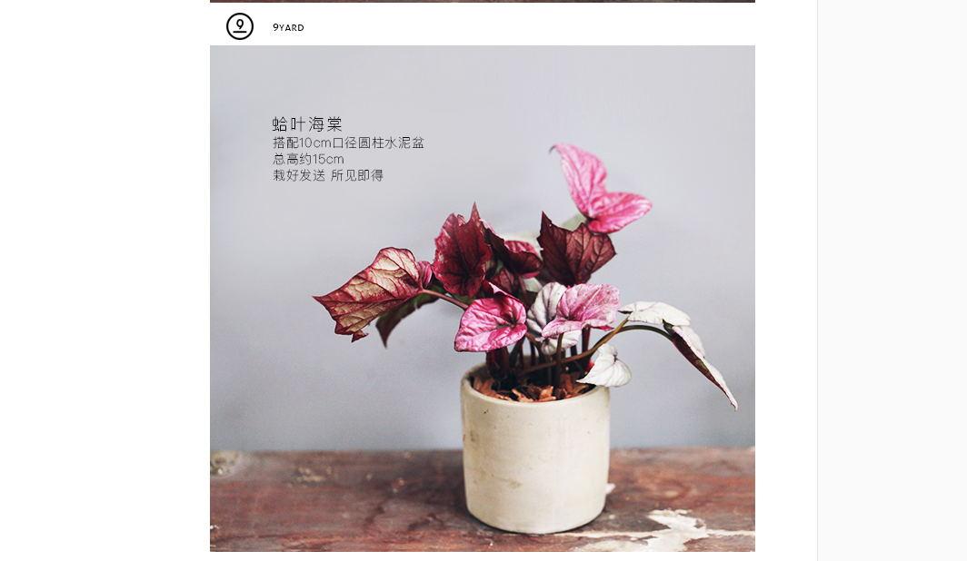 为什么很多人都想开一间花店? 因为有花的地方风水好