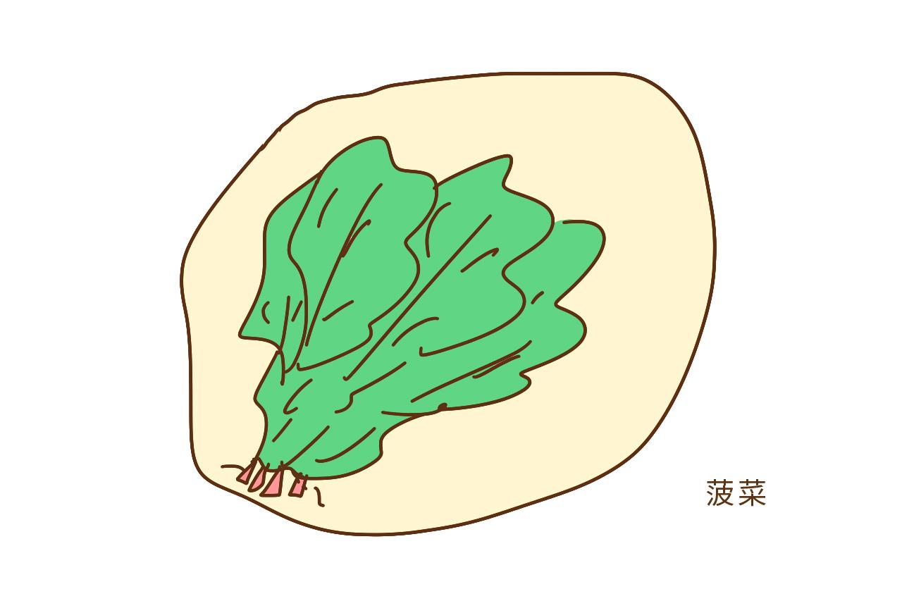 菠菜  