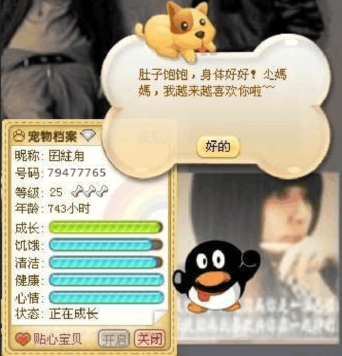 这些上网的老梗只有老网民知道吗, 快来看看你认识几个