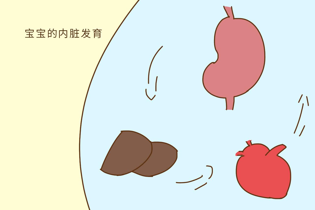 为何小宝宝会长大肚腩? 不是胀气也不是便秘, 是这4个原因