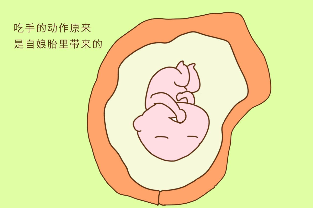 四维检查刚开始, 宝宝的举动逗的医生直呼“淘气包”