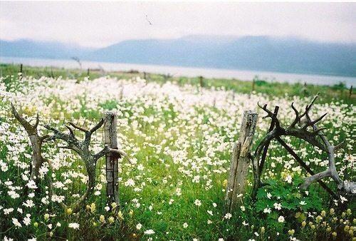 这十句话, 聪明人不需要懂!