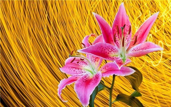 再能干的人, 也许要需要这十句话!