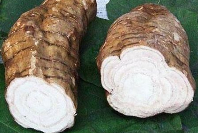 它是“天然雌激素”, 女人每天喝一碗, 缓解炎症, 更显年轻态!