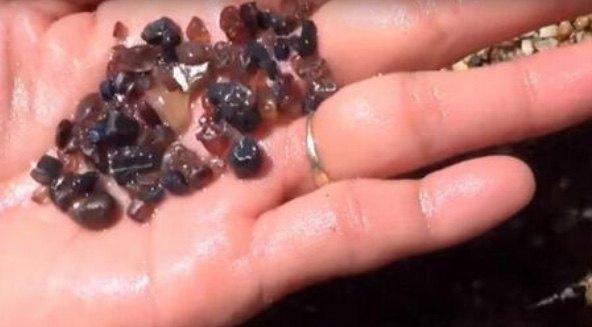 男子买了一条鱼, 杀鱼时肚子取出异物, 专家称: 你赚大发了