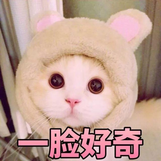 戚薇冰箱塞香水、阿娇集墨镜、杨幂集口红……这些收藏让人大开眼界