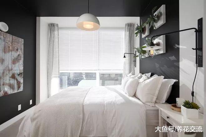 这些创意的盆栽都可以自己diy, 给你一个清新芬芳的家
