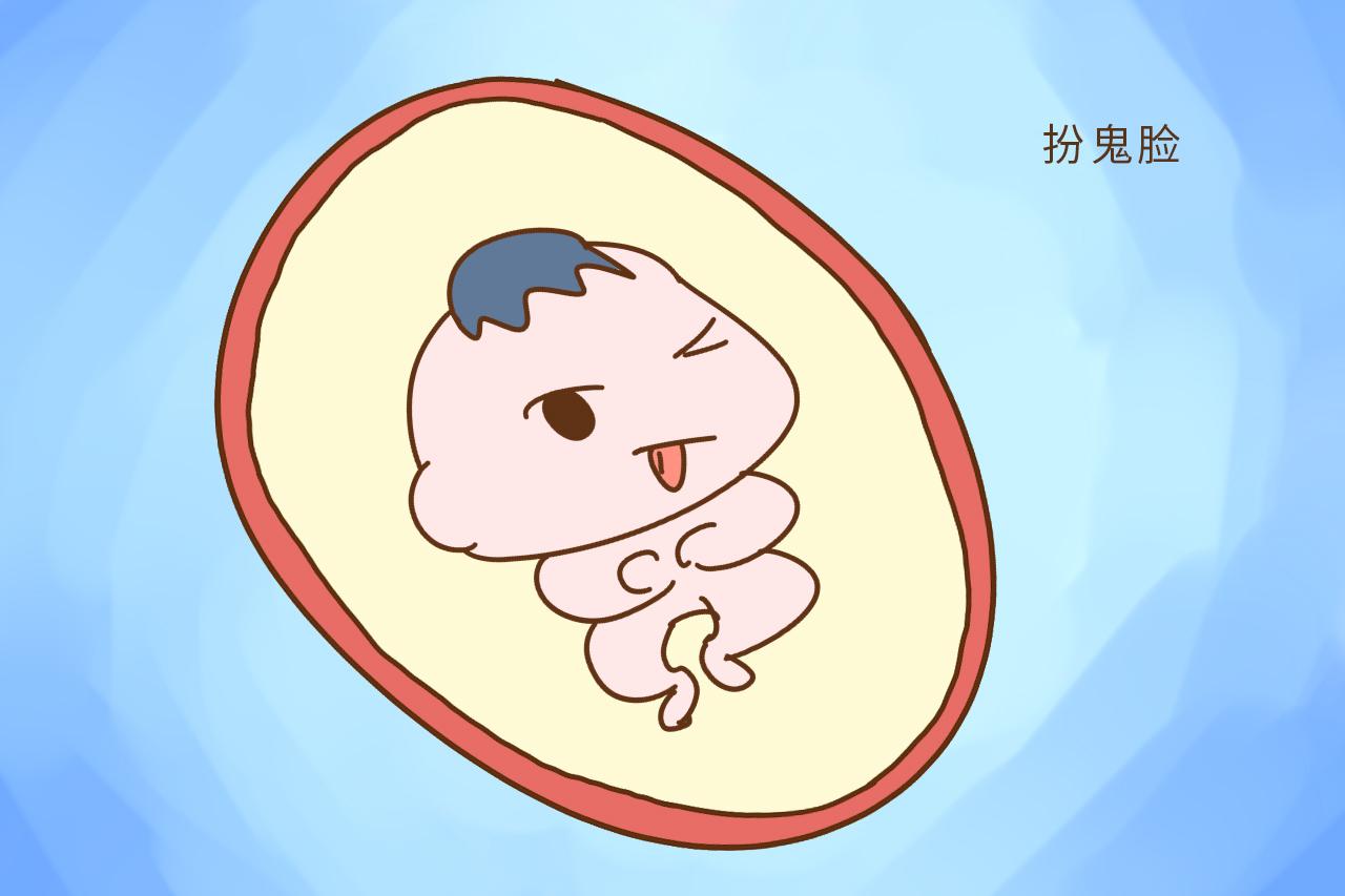 四维做到一半, 医生说小家伙在干“坏事”, 在场的人都乐了