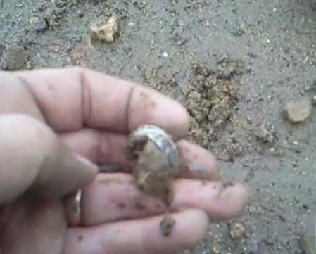 男人在海边捡到一枚戒指, 看起来是银的, 回家清洗后高兴坏了