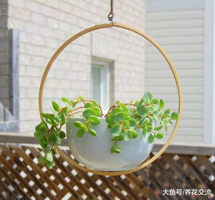 这些DIY的精致吊盆适合养窗台边, 让盆栽更清新动人