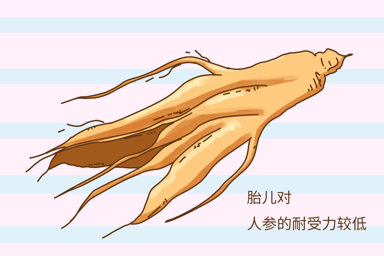 这4种补品, 孕妇吃了并不好! 准妈妈进补一定要慎重