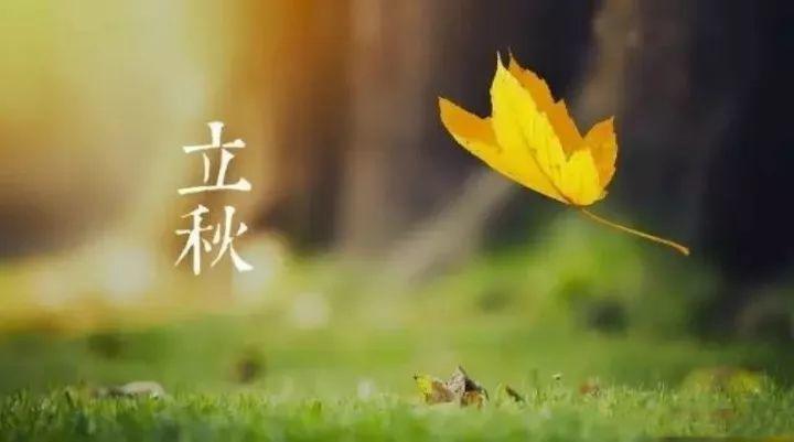 立秋后就喝这3汤, 去湿补血气, 一觉睡到大天亮!