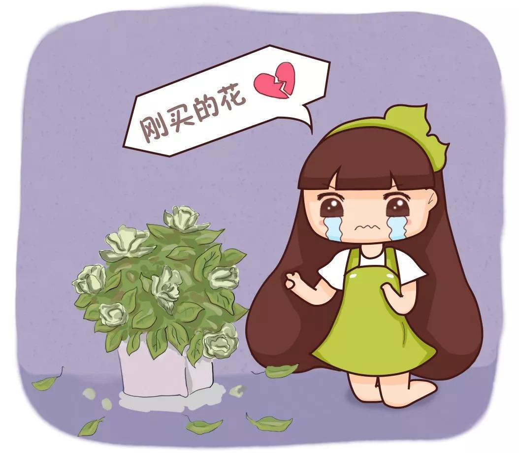 入秋别买这5种花, 回家3天花苞全掉, 再便宜都亏!