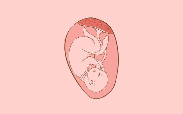 孕期妈妈熬夜玩手机, 胎宝在“忙”些什么? 原来他也有“小脾气”