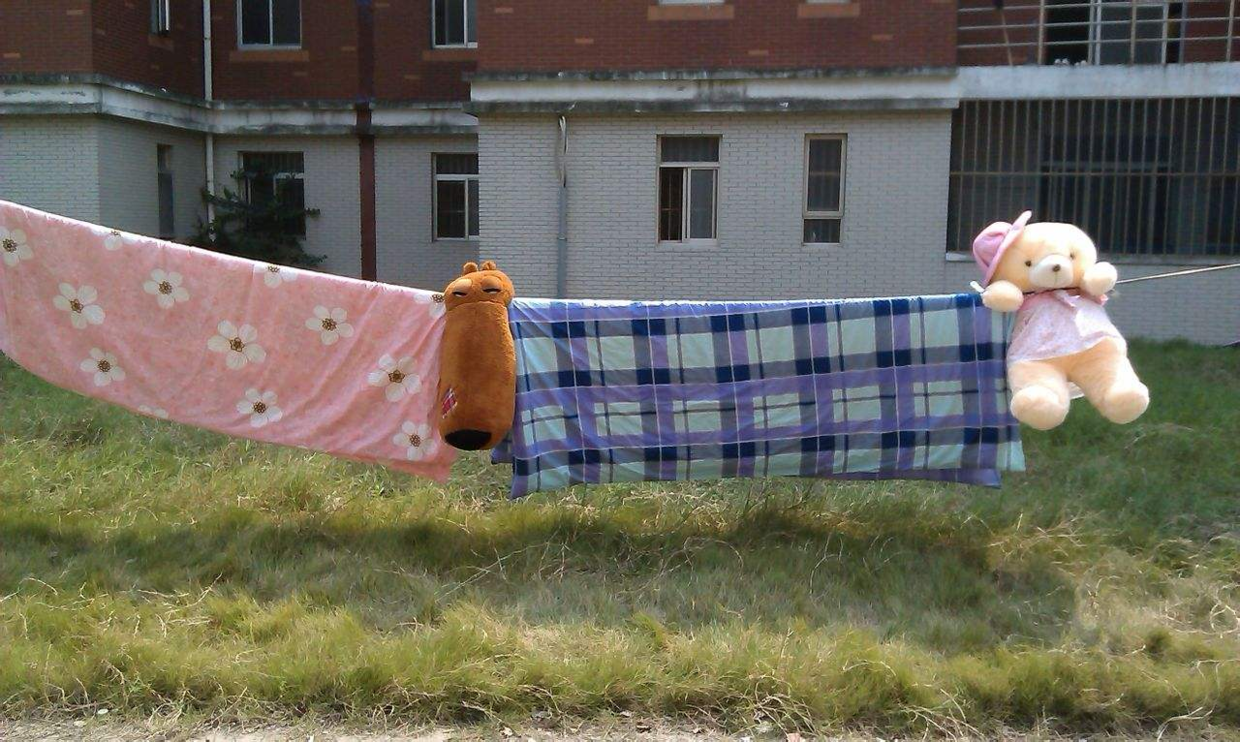 冬季晒被子, 晒多久最好? 学会这3招, 不发愁!