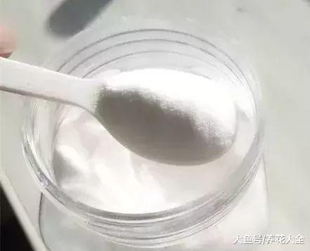 1毛钱小苏打丢水池, 臭味跑光光, 脏东西全没了!