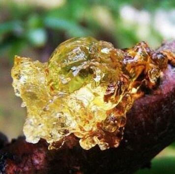 皱纹最怕这几种碱性食物, 聪明的女人每天吃点, 皮肤紧致显年轻