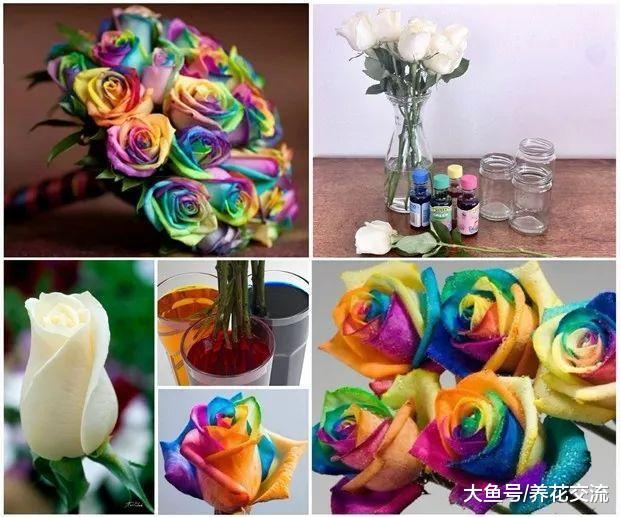 准备两种东西, 就能将白玫瑰变成七彩玫瑰花了
