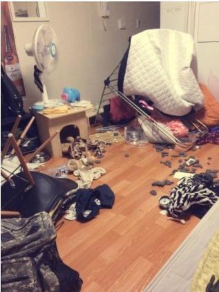 回家看到家里场面以为遭贼了, 原来是家里来了拆迁大队长