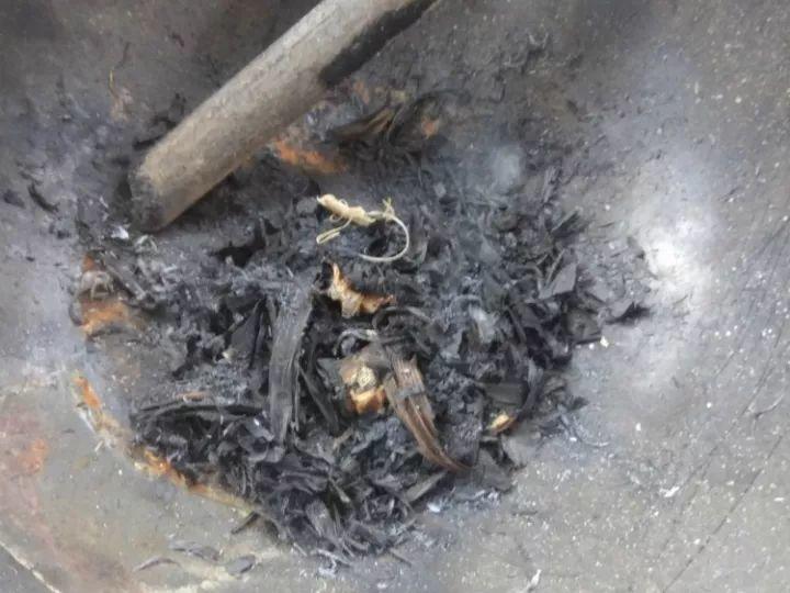 奶奶给花撒层“灰”, 叶不黄花照开, 零下10度冻不死!