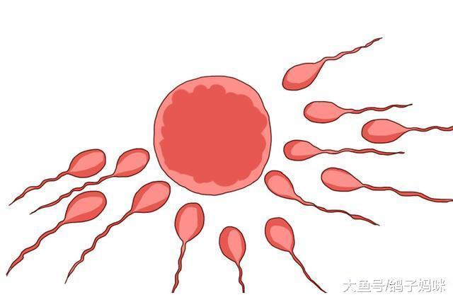 天啊, 精子碎了, 心(DNA)碎了, 生育力没了!