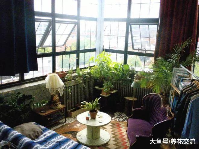 花友们在窗台边布置的小植物园, 小空间也能栽种很多盆栽