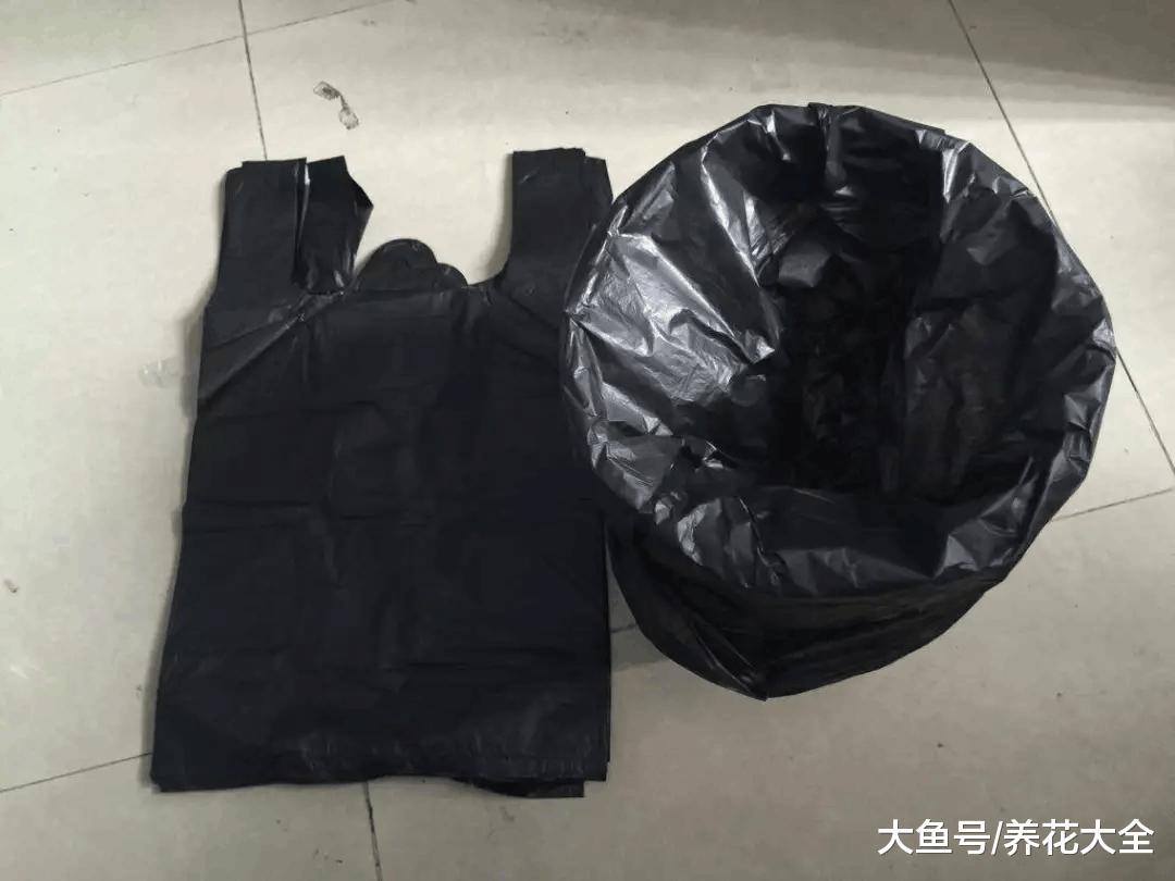方便袋不要扔, 套在花盆上, 叶子贼绿花开爆!