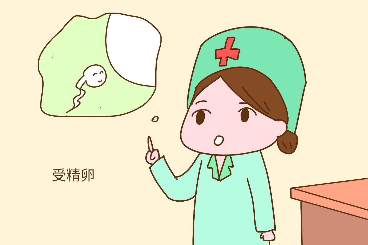 子宫的作用你知道吗? 想成功受孕, 这些知识备孕女性不可不知