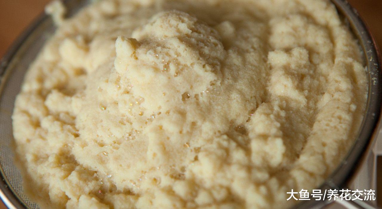 这5种生活的废弃物都可以制作成很好的肥料, 不用花钱买