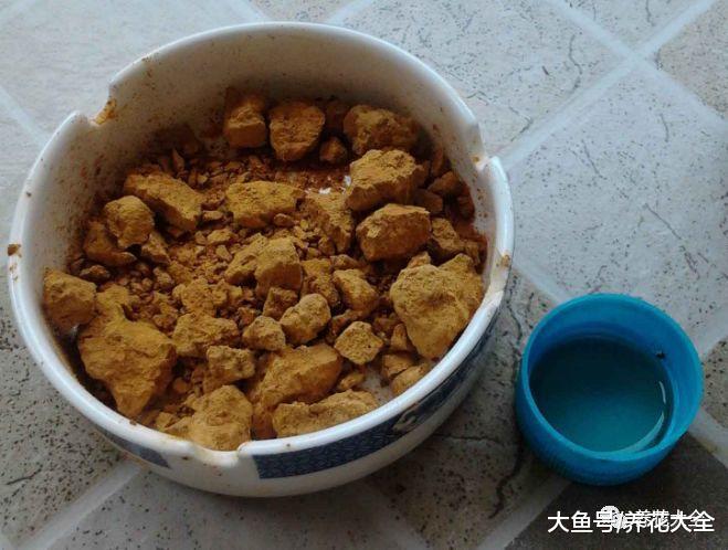 植物叶子老是发黄? 那就放在这里面泡一下, 立马变得油绿发亮!