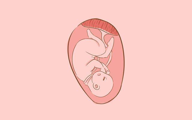 孕28周, 每个妈妈都会出现这些情况, 看看你经历过哪些
