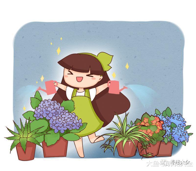 栀子黄叶又烂根? 给它喝点这个, 不蔫还能蹭蹭长!