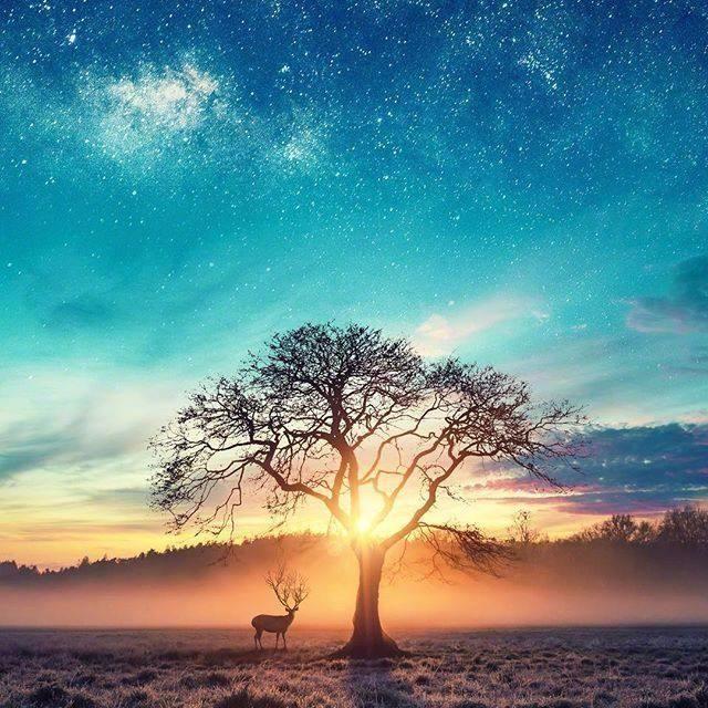 大多数时候, 你需要这正能量的十句话!