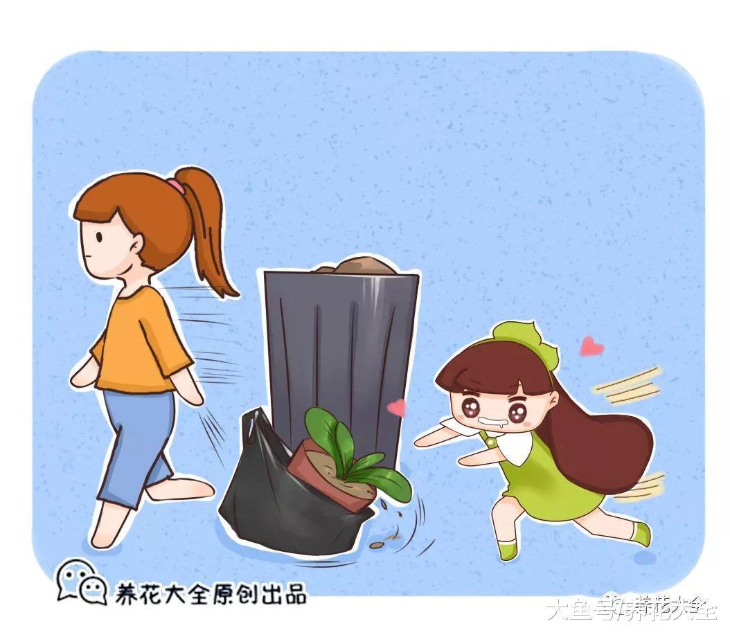 植物长歪了别着急扔, 这样剪一刀, 比原来的还要好看!