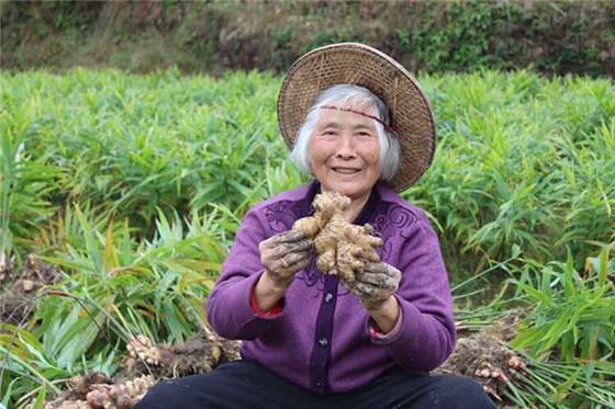 她用生姜泡脚, 半个月后身体发生了惊喜的变化