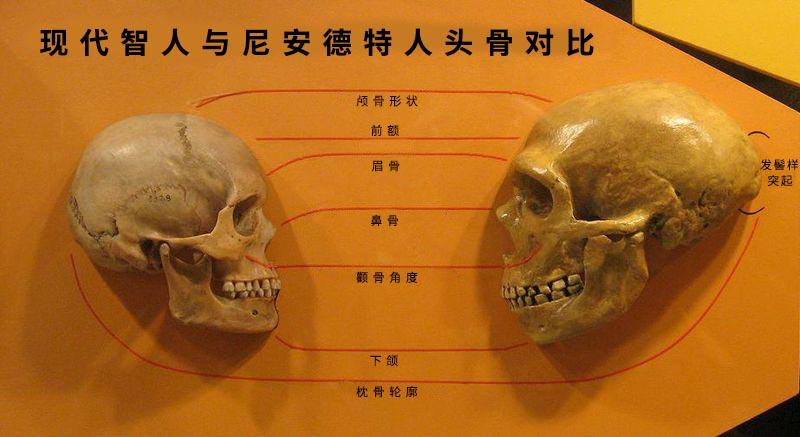 人口的形态_人口普查(2)